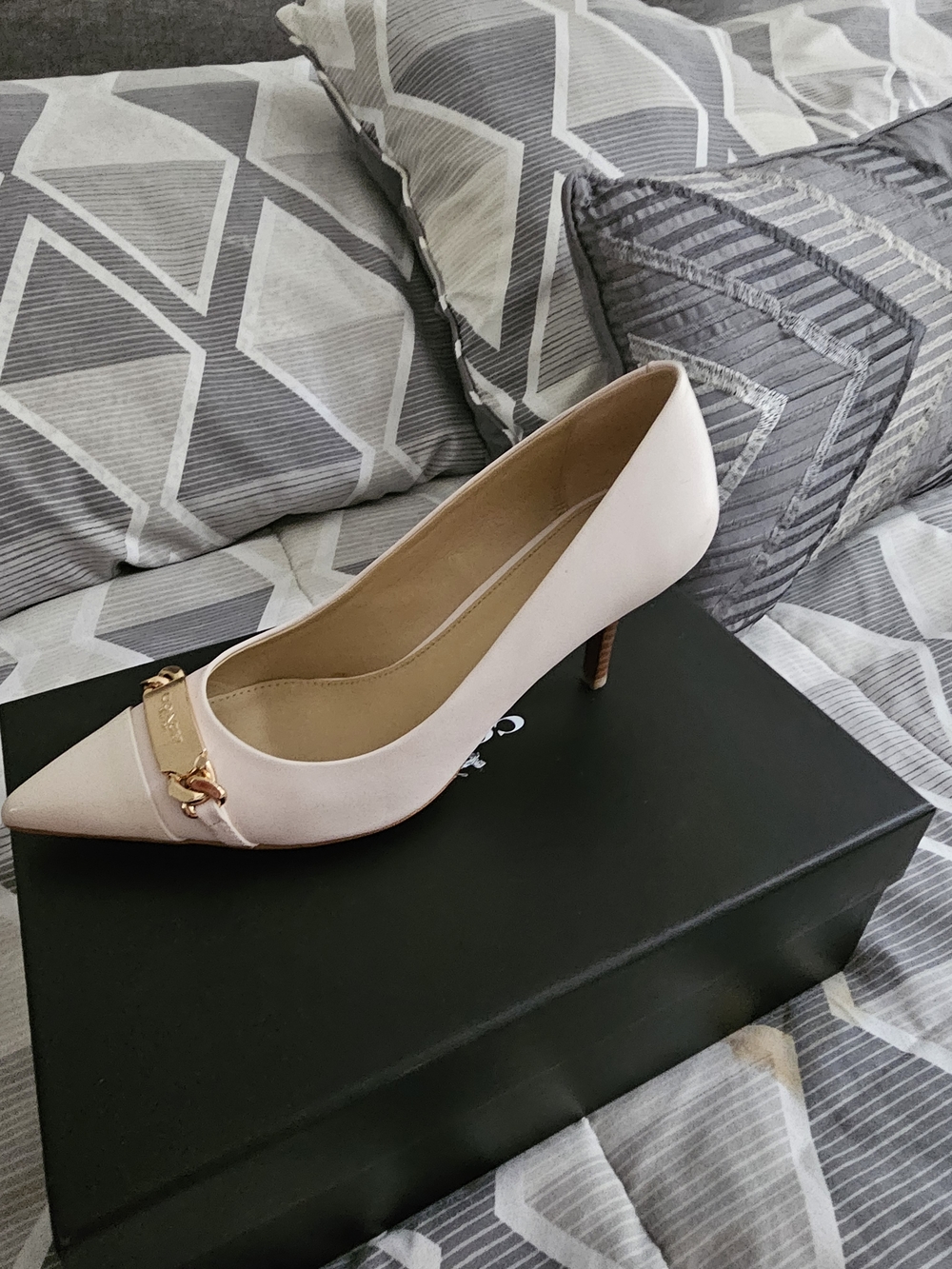 Coach Blush Pointed Toe Pump with Gold Chain